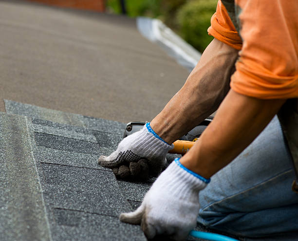 Best Local Roofing Companies  in Florissant, MO