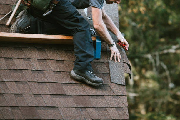 Best Roof Maintenance Services  in Florissant, MO